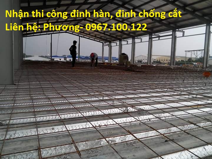 đinh chống cắt